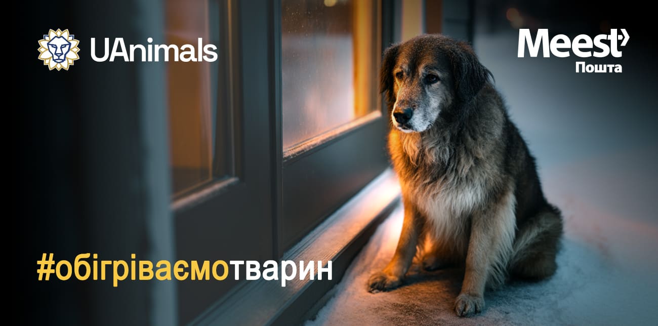 ЗІГРІВАЄМО БЕЗПРИТУЛЬНИХ ТВАРИН